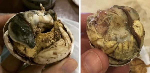 БОНУС: Балют