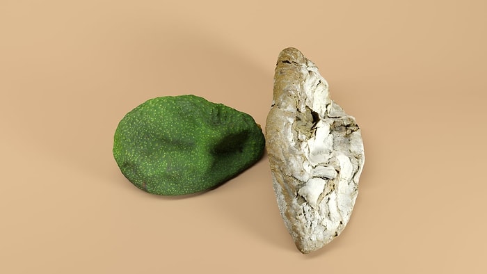 Aniden Sönen ve Yeniden Şişen Meyve ve Sebzelerin Hipnotize Edici Görüntüleri