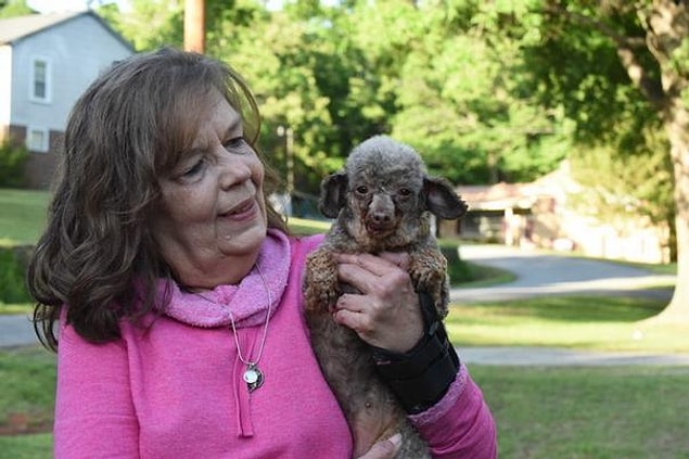 Gün ışığını, çimeni hayatı boyunca tatmamış bir köpek düşünün.