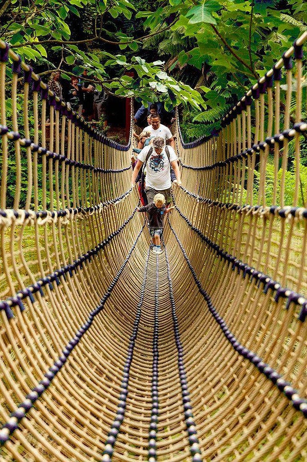 20. Настоящая ловушка для людей