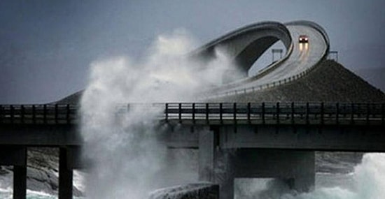 Если не сможете досмотреть эти фото до конца, у вас гефирофобия