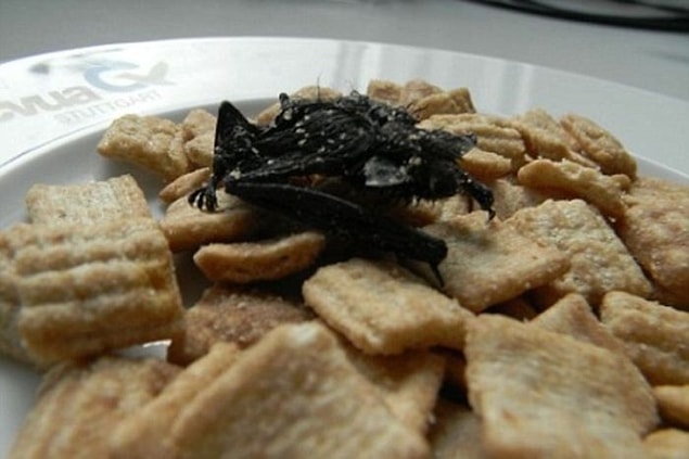 20. Bir cips paketinden çıkan yarasa.