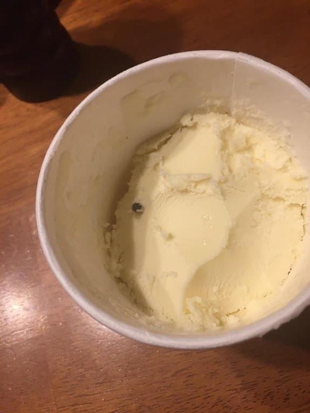 1. This single chocolate chip in a sad tub of ice cream. 🍦😪