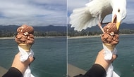 17 Pictures From All Over The World That'll Somewhat Make You Angry The More You Look