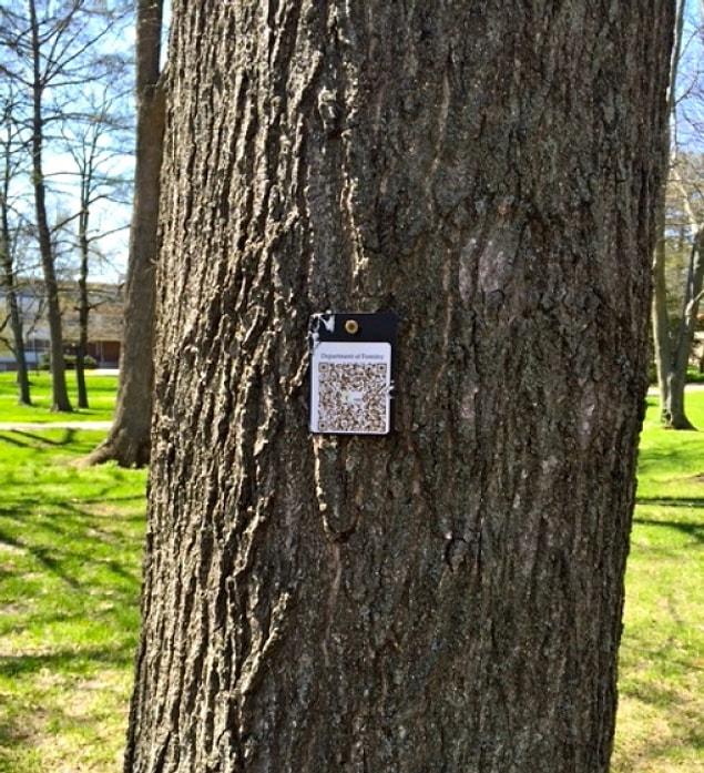 27. This university put QR codes on some of the trees so that passerby and students can identify them.