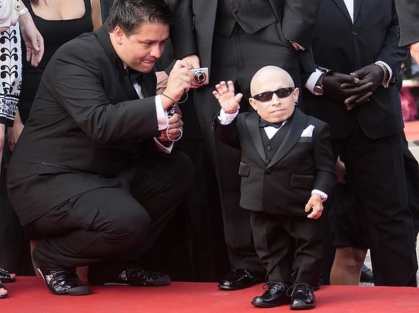 8. Верн Тройер