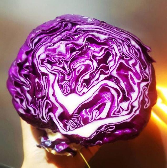 Antioxidant storage: Cabbage
