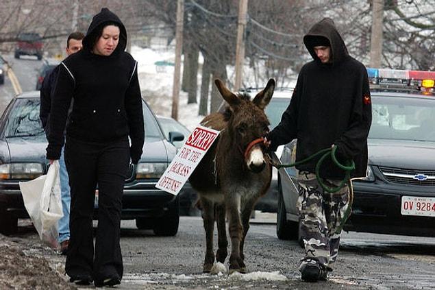 6. Two teenagers who wrote "666" on a nativity figure of Jesus were sentenced by Judge Cicconetti to lead a donkey through the streets with a sign that read, "Sorry for the jackass offense."