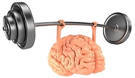 Science Says You Can Exercise Your Brain And Yes It Will Improve!