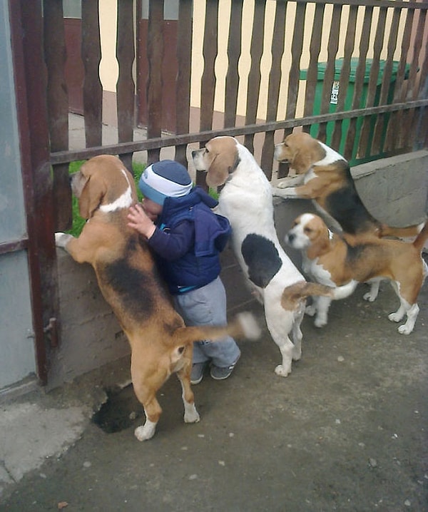 10. Может мама не заметит