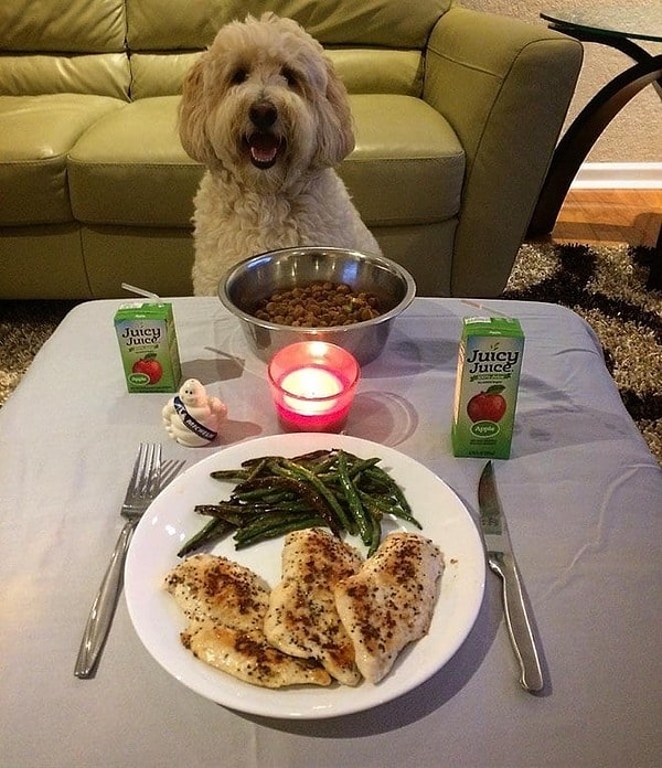 8. Человек, который ужинает вместе с собакой