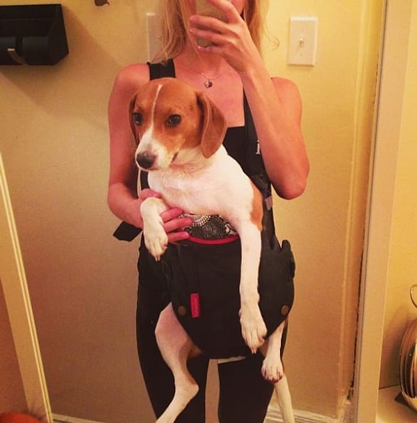 15. Девушка, которая после операции на лапках животного гуляла так с собакой