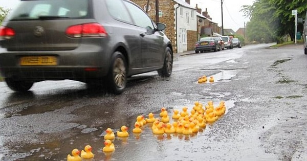 2. Жители небольшого города в Оксфордшире (Англия), недовольные ямами на дорогах, привлекли к ним внимание властей, разместив в образовавшихся лужах более сотни резиновых уточек