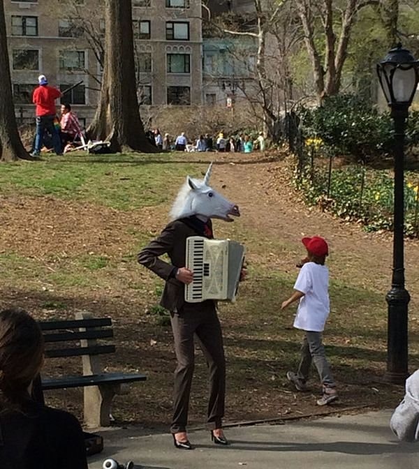 16. У нас даже единороги не тунеядствуют