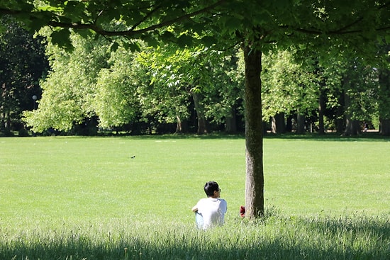 Avrupa'da Örnek Bir Park: "Parc de la Tête d'or"dan 12 Eşsiz Fotoğraf