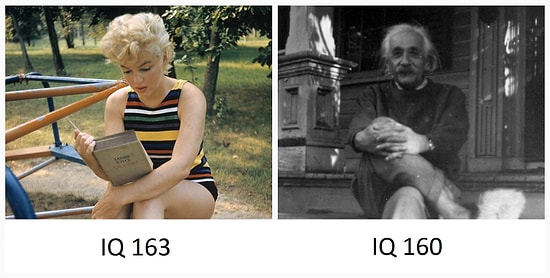 14 веселых и смешных фактов, которые вас удивят