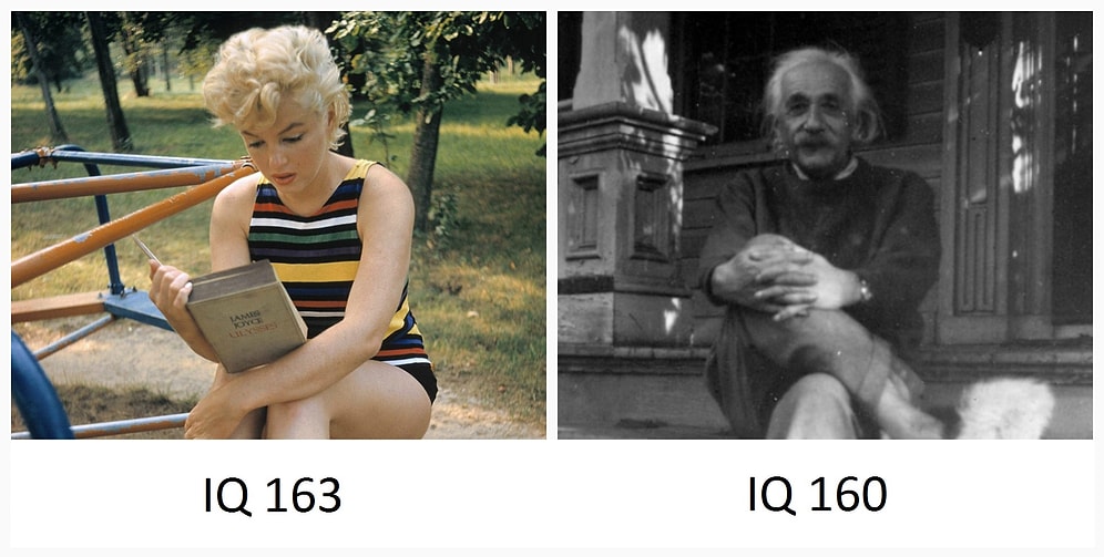 14 веселых и смешных фактов, которые вас удивят