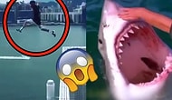 17 People Who Do Crazy, Dangerous And Stupid Things Just For Fun!