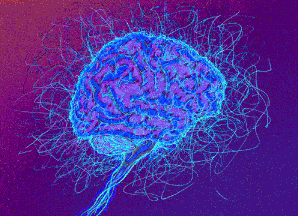 Ткань передающая импульс. Нейронные связи в мозге. Нейроны мозга гиф. Импульсы головного мозга.