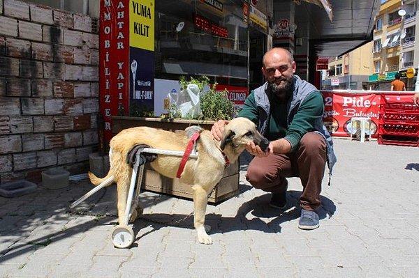 7. "İzmir'de sakatlanan köpeğe, internetten öğrenerek kendi imkanlarıyla yürüteç yapan altın kalpli esnaf abimiz."