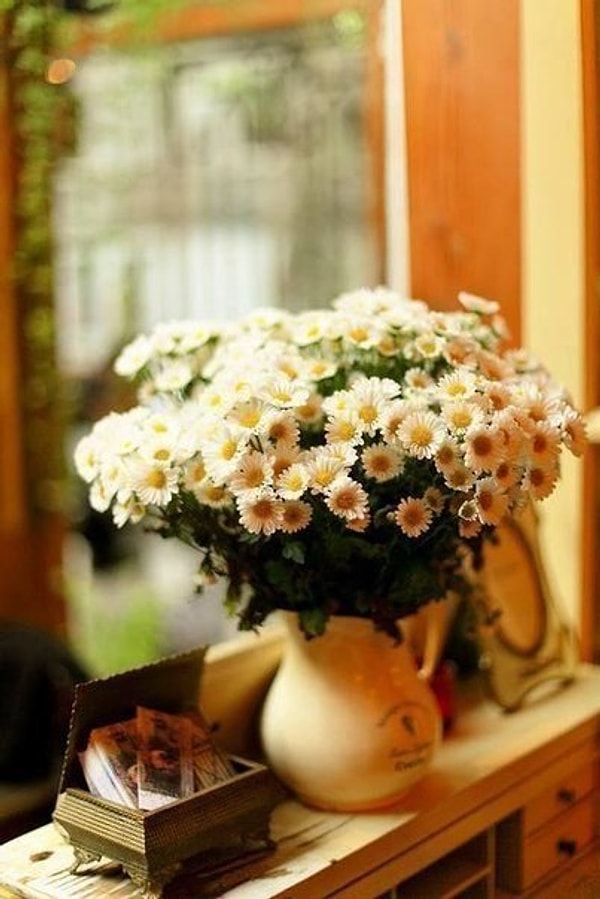 1. Научитесь дышать счастьем... Оно в воздухе... Оно в мелочах...