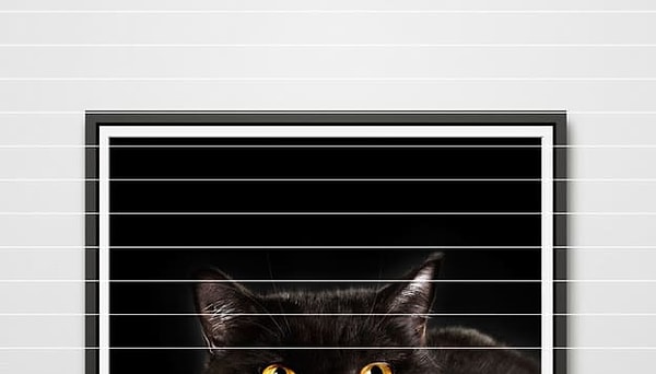 Посмотреть ответ: