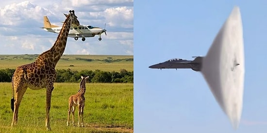 Objektifini Doğru Yere Tam Zamanında Doğrultan Fotoğrafçılardan 18 Şaşırtıcı Kare!