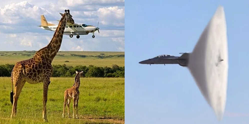 Objektifini Doğru Yere Tam Zamanında Doğrultan Fotoğrafçılardan 18 Şaşırtıcı Kare!