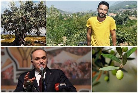 'Rant İçin Zeytin Ağaçlarına Kıymayın' Diyen Tarkan'a, Sanayi Bakanı Özlü'den Cevap: Zeytinlikleri mi Varmış?