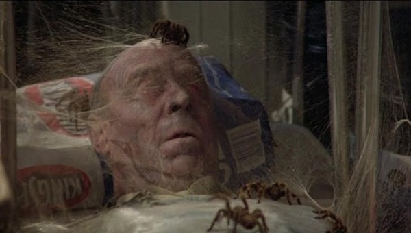 3. Царство пауков - Арахнофобия (боязнь пауков)