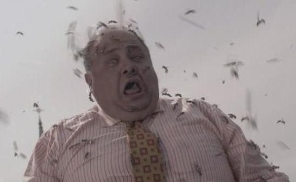 14. Черный рой - Инсектофобиия (боязнь насекомых)