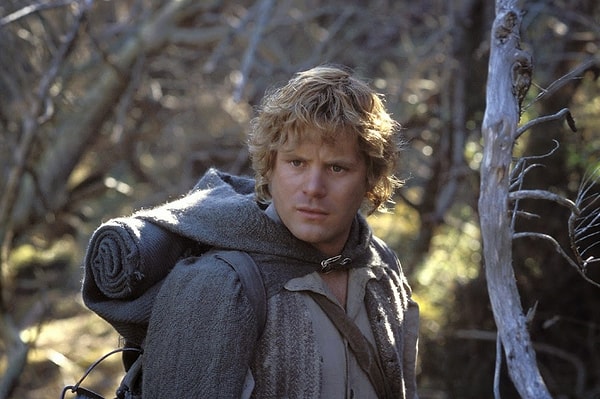 Ты - Сэмуайз Гэмджи