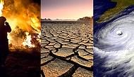 13 Short Answers To The Most Common Questions About Global Warming