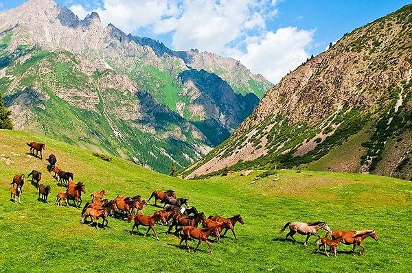 10. Kırgızistan başkenti neresidir peki?