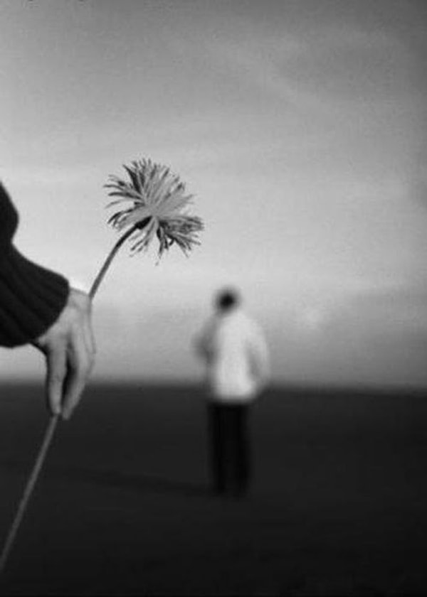 12. Где есть любви хотя бы капля, там есть терпения океан.