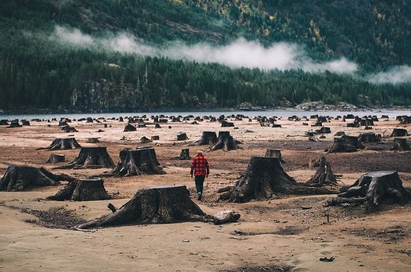 15. Эмоции, обычно, через какое-то время проходят, но то, что они сделали, остаётся.