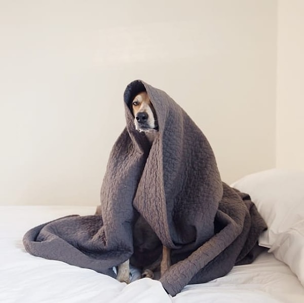 3. Когда вы размышляете: пойти на работу или прикинуться больной