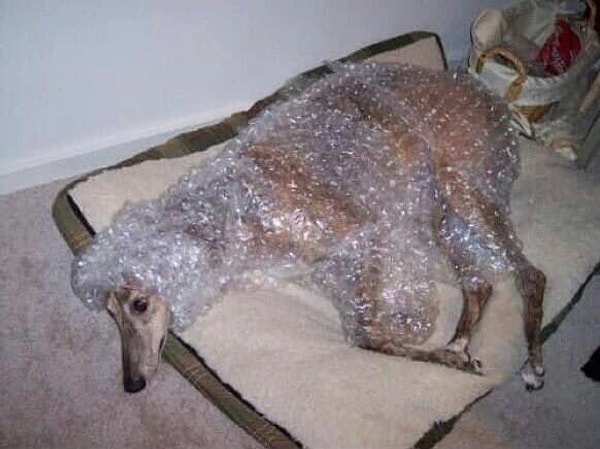 8. Когда болит ВСЕ