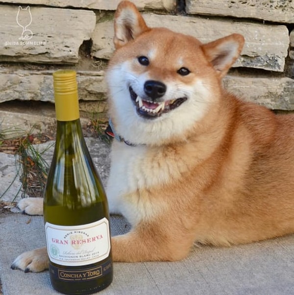 9. Когда винишко и вправду облегчает спазмы