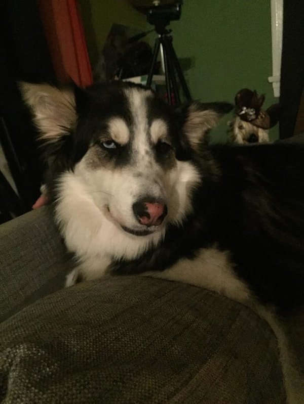 14. Когда кто-то предлагает заняться спортом, чтобы избавиться от спазмов