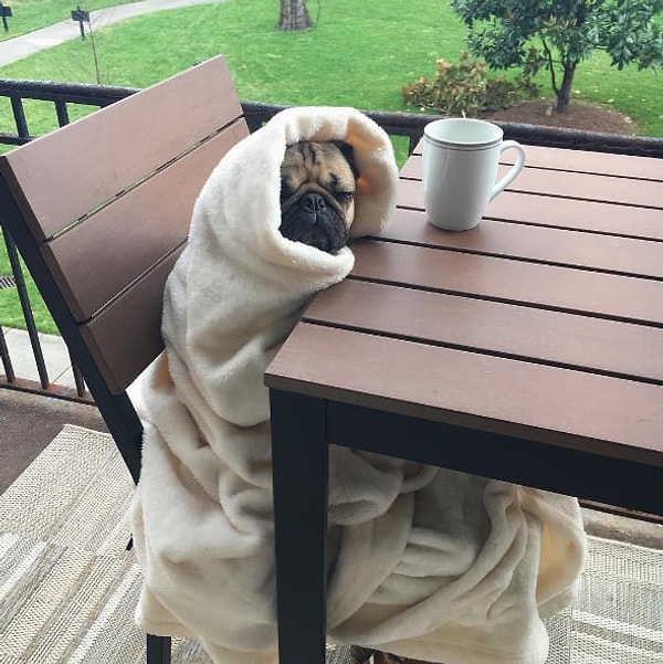 21. Когда никакое количество кофеина не способно разбудить вас