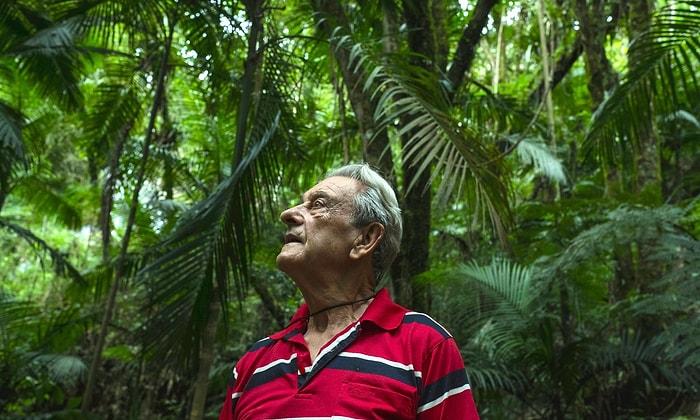 Dikili Ormanı Var: Brezilya'da Tek Başına Yağmur Ormanı Oluşturan Antonio Vicente ile Tanışın!