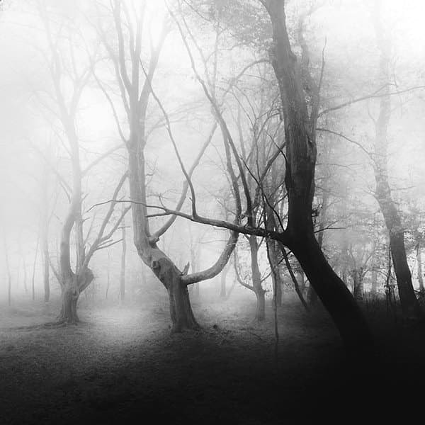 9. Туман превращает знакомые места в незнакомые...