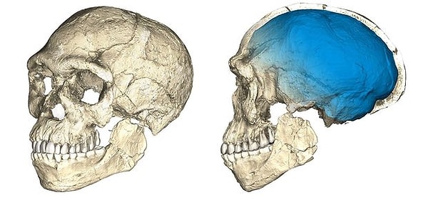 2. Это открытие способно переписать все учебники по истории человечества!