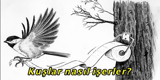 Tek Tek Cevap Veriyoruz: Bilimin İmdadınıza Yetiştiği 9 Tuhaf Soru