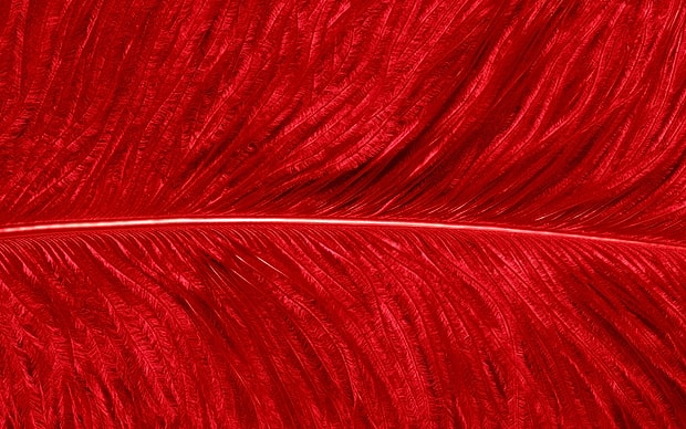 Kırmızı