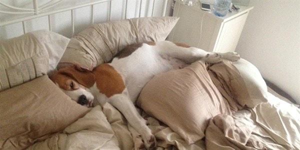 4. "Валяться в постели"