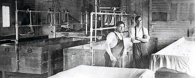 16. İlk peynir fabrikası 3 Şubat 1815'te İsviçre'de kurulmuştur.