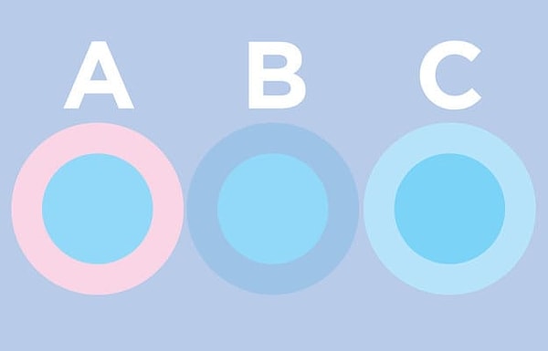 2. Какой круг на этой картинке имеет другой цвет?