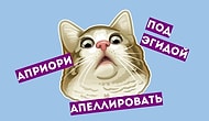 10 слов, которые все мы употребляем неправильно: проверь себя!